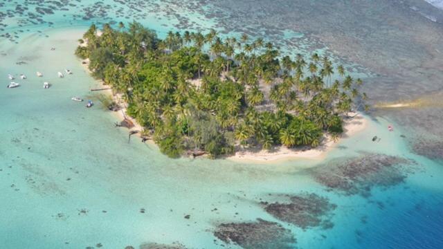 Pension Hibiscus Tahaa Uturoa Dış mekan fotoğraf